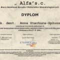 Powiększ obraz: certificate 7