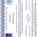 Powiększ obraz: certificate 1