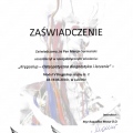 Powiększ obraz: certificate 8