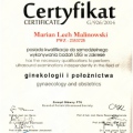 Powiększ obraz: certificate 2