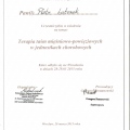 Powiększ obraz: certificate 4