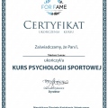 Powiększ obraz: certificate 63