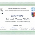 Powiększ obraz: certificate 17