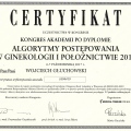 Powiększ obraz: certificate 24