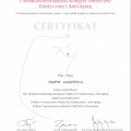 Powiększ obraz: certificate 42