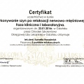 Powiększ obraz: certificate 6