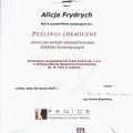 Powiększ obraz: certificate 2