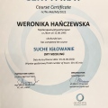 Powiększ obraz: certificate 5