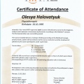Powiększ obraz: certificate 16