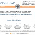 Powiększ obraz: certificate 4