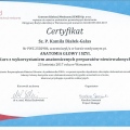 Powiększ obraz: certificate 8