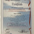 Powiększ obraz: certificate 4
