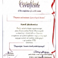 Powiększ obraz: certificate 2
