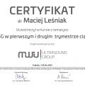 Powiększ obraz: certificate 4