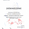 Powiększ obraz: certificate 13