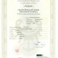 Powiększ obraz: certificate 1