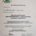 Powiększ obraz: certificate 8