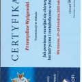 Powiększ obraz: certificate 13