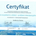 Powiększ obraz: certificate 4