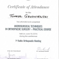 Powiększ obraz: certificate 11
