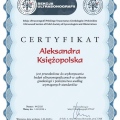 Powiększ obraz: certificate 8
