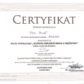 Powiększ obraz: certificate 39