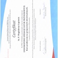 Powiększ obraz: certificate 2