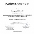 Powiększ obraz: certificate 10