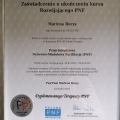 Powiększ obraz: certificate 9