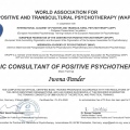 Powiększ obraz: certificate 2