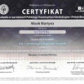 Powiększ obraz: certificate 8