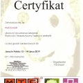Powiększ obraz: certificate 8
