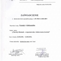 Powiększ obraz: certificate 19