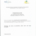 Powiększ obraz: certificate 37