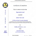 Powiększ obraz: certificate 3