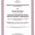 Powiększ obraz: certificate 3