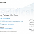 Powiększ obraz: certificate 8