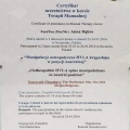 Powiększ obraz: certificate 2