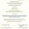 Powiększ obraz: certificate 17