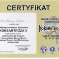 Powiększ obraz: certificate 6