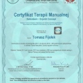 Powiększ obraz: certificate 2