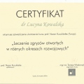 Powiększ obraz: certificate 39
