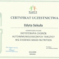 Powiększ obraz: certificate 20