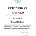 Powiększ obraz: certificate 8
