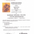 Powiększ obraz: certificate 19