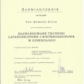 Powiększ obraz: certificate 13