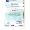 Powiększ obraz: certificate 17