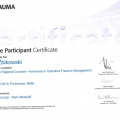Powiększ obraz: certificate 44