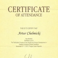Powiększ obraz: certificate 20