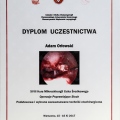 Powiększ obraz: certificate 14